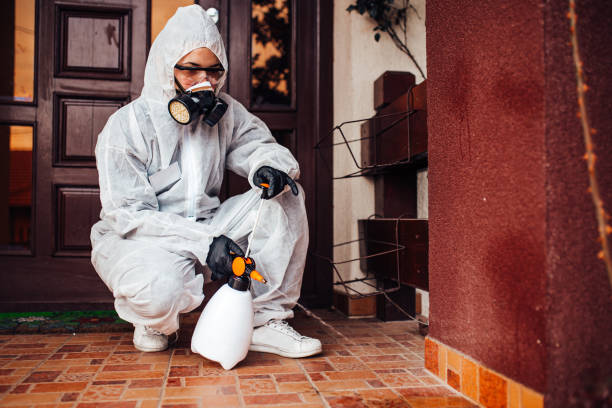 Attic and Crawl Space Rodent Treatment in Buena Vista